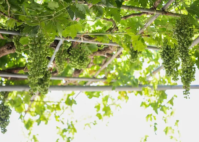 Casa De Calma Semesterbostad Argostoli (Kefalonia)